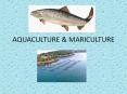 AQUACULTURE & MARICULTURE PowerPoint PPT Presentation