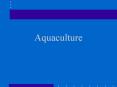 Aquaculture PowerPoint PPT Presentation