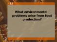 12.3 What environmental problems arise from food production PowerPoint PPT Presentation