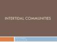 Intertidal Communities PowerPoint PPT Presentation