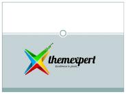 ThemeXpert Presentation