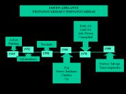 Presentaciуn de PowerPoint