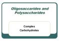 Oligosaccarides and Polysaccharides PowerPoint PPT Presentation