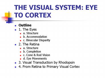 THE VISUAL SYSTEM: EYE TO CORTEX