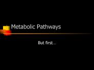 Metabolic Pathways
