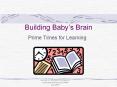 Building Baby’s Brain PowerPoint PPT Presentation