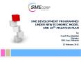 SME DEVELOPMENT PROGRAMMES UNDER NEW ECONOMIC MODEL PowerPoint PPT Presentation