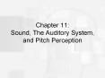 Chapter 11: Sound, The Auditory System, and Pitch Perception PowerPoint PPT Presentation