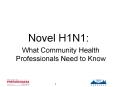 Novel H1N1 PowerPoint PPT Presentation