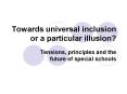 Towards universal inclusion or a particular illusion? PowerPoint PPT Presentation