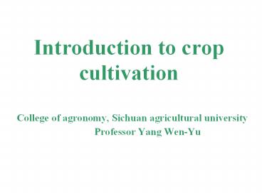 presentation player overlay