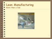 Lean Manufacturing More than a fad