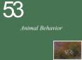 Animal Behavior PowerPoint PPT Presentation