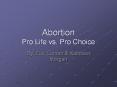 Abortion Pro Life vs. Pro Choice PowerPoint PPT Presentation