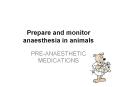 Prepare and monitor anaesthesia in animals PowerPoint PPT Presentation