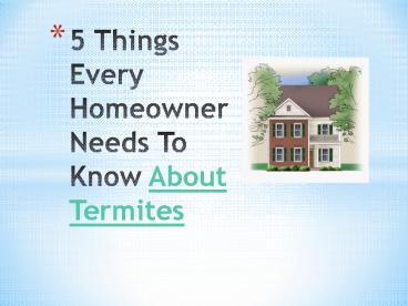 5 Things Every Homeowner Needs to Know About Termites