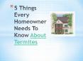 5 Things Every Homeowner Needs to Know About Termites PowerPoint PPT Presentation