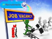 IT Recruitment