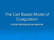 The Cell Based Model of Coagulation