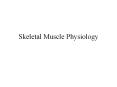 Skeletal Muscle Physiology PowerPoint PPT Presentation