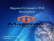 Magento Web Development
