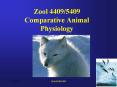 Zool 4409/5409 Comparative Animal Physiology PowerPoint PPT Presentation