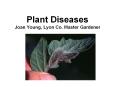 Plant Diseases Joan Young, Lyon Co. Master Gardener PowerPoint PPT Presentation