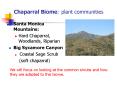 Chaparral Biome: plant communities PowerPoint PPT Presentation