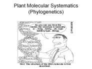 Plant Molecular Systematics (Phylogenetics)