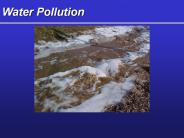 Water Pollution