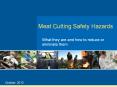 Meat Cutting Safety Hazards PowerPoint PPT Presentation
