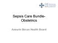 Sepsis Care Bundle-Obstetrics PowerPoint PPT Presentation