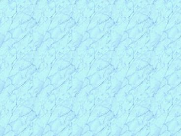 Opportunistic Enterobacteriaceae