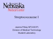 Streptococcaceae I