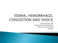 EDEMA, HEMORRHAGE, CONGESTION AND SHOCK PowerPoint PPT Presentation