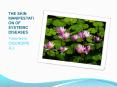 THE SKIN MANIFESTATION OF SYSTEMIC DISEASES PowerPoint PPT Presentation