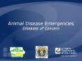 Animal Disease Emergencies Diseases of Concern PowerPoint PPT Presentation