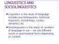 LINGUISTICS AND SOCIOLINGUISTICS PowerPoint PPT Presentation