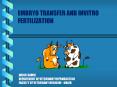 EMBRYO TRANSFER AND INVITRO FERTILIZATION ABDUL SAMI PowerPoint PPT Presentation