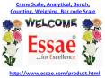 Crane Scale, Analytical Scale, Bench Scale, Counting Scale, Weighing Scale, Bar code Scale PowerPoint PPT Presentation