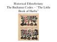 Historical Ethnobotany The Badianus Codex    The Little Boo PowerPoint PPT Presentation