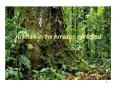 Animals in the Amazon rainforest PowerPoint PPT Presentation