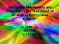Psilocybin Mushrooms are Effective in the Treatment of Obsessive Compulsive Disorder PowerPoint PPT Presentation