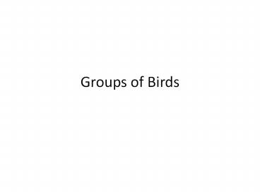 Groups of Birds Bird Groups Bird species are ofte