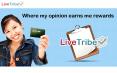 Get Paid for FREE online surveys and Polls PowerPoint PPT Presentation