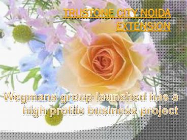 Trustone City Noida Extension
