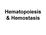 Hematopoiesis