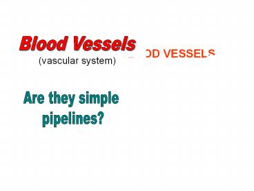 THE BLOOD VESSELS