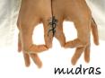 This presentation deals with ten important Mudras that can result in amazing health benefits. PowerPoint PPT Presentation