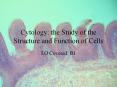 Cytology: the Study of the Structure and Function of Cells PowerPoint PPT Presentation